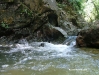guaconejoago06 - 34
